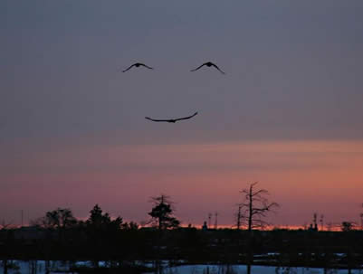 smile_god.jpg